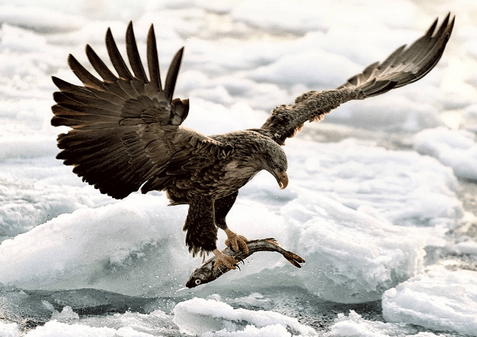 有目標,才能創造一個可觀的成就 有目標,才能創造一個可觀的成就